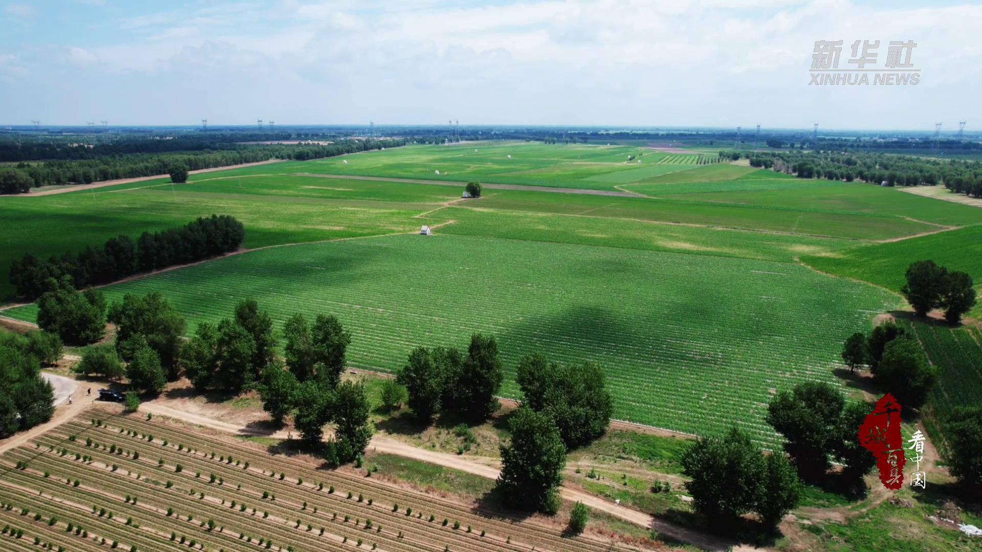 千城百县看中国|内蒙古通辽:弘扬"三北精神" 创造绿色奇迹