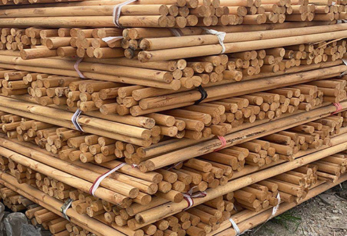 树木支撑杆 大树支撑木棍