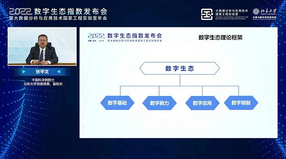 张平文院士