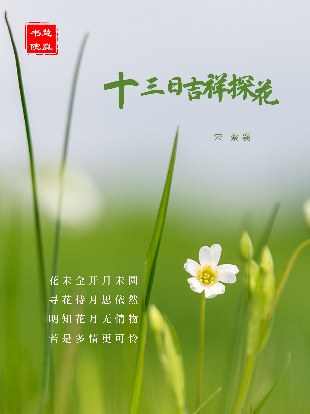 诗词赏析|小满,花未全开月未圆,曾国藩点赞《十三日吉祥探花》