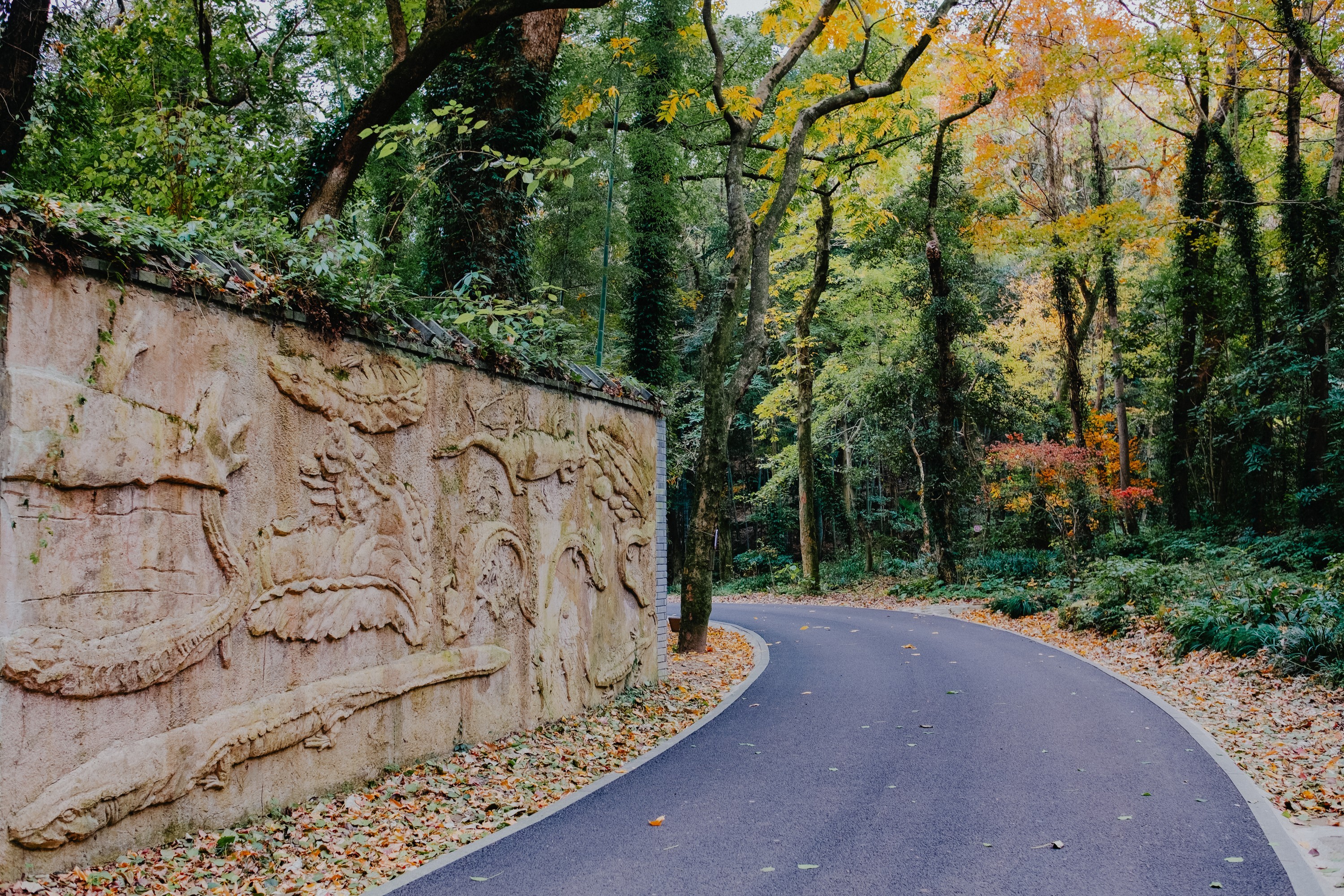 深秋,走进宁波北仑九峰山瑞岩景区!
