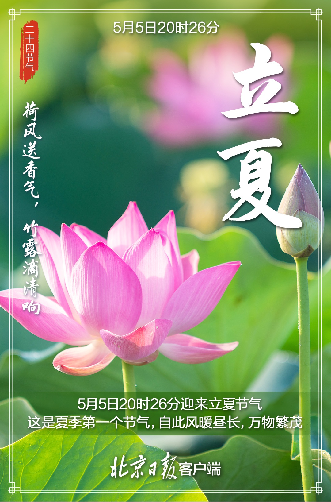 多张精美海报来袭!5月5日立夏,春意藏夏初长,你好夏天!