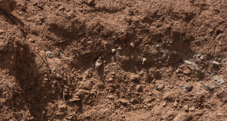 风化土是什么土壤