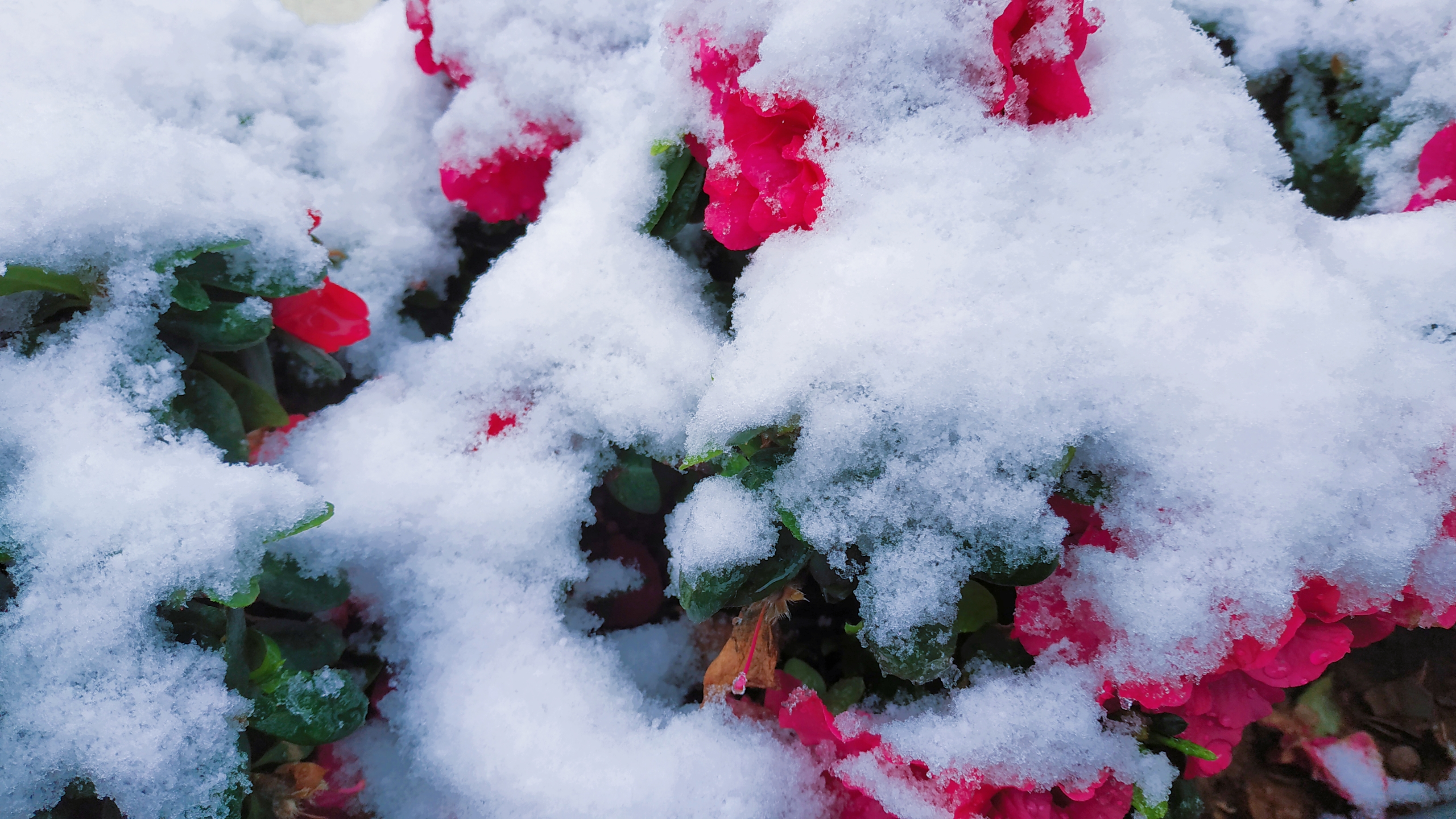 这样的浪漫绝美雪景图