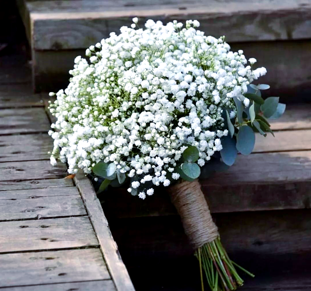 满天星:象征清纯与浪漫的婚礼必备花材