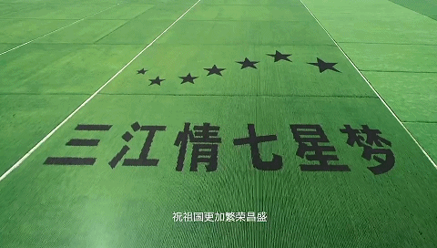 种粮大户张景会的幸福生活