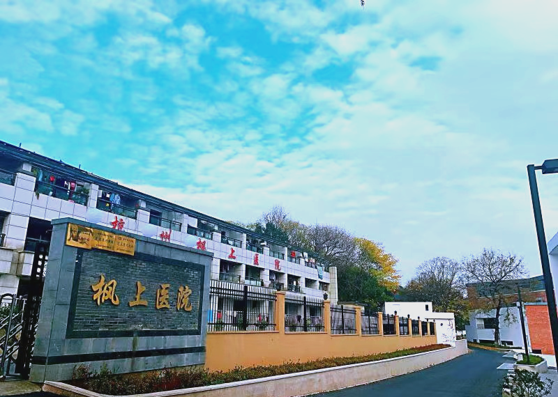 这一布局以浙江康静医院综合医院为核心,通过投资创办杭州枫上医院