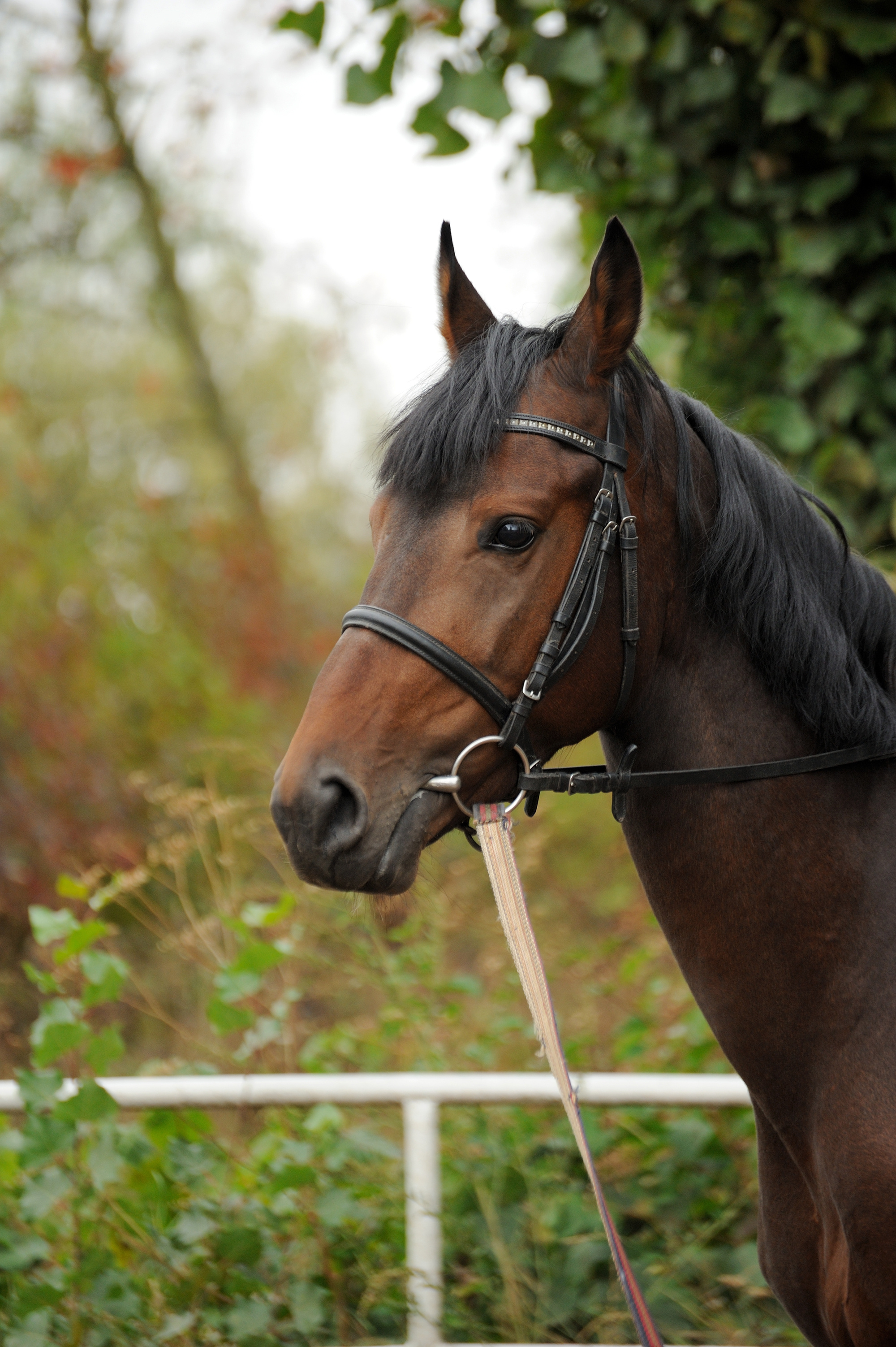 分享个老项目cpa广告联盟,轻松兼职日赚100 (附推广方法)