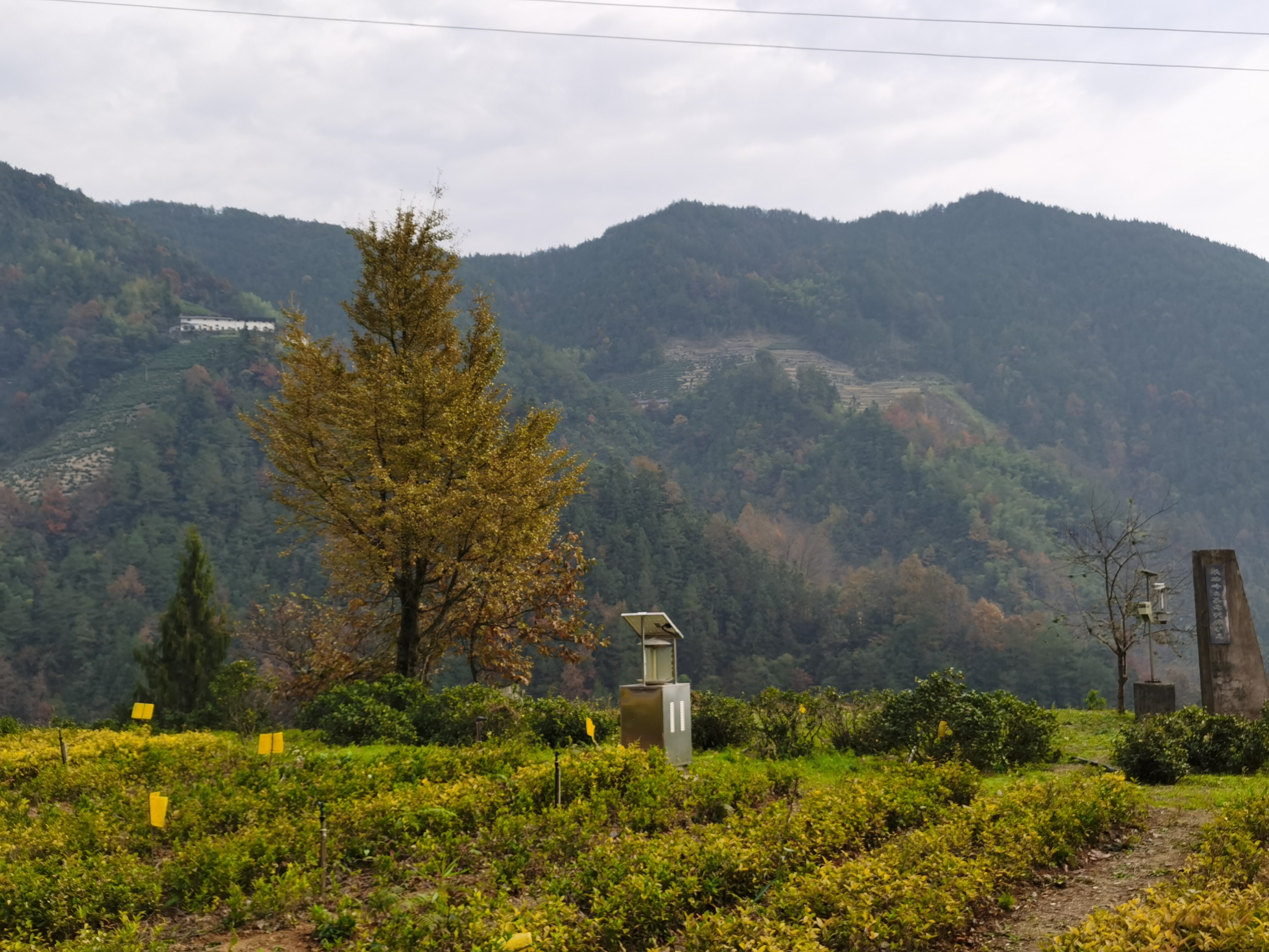 歙县蜈蚣岭风景区图片