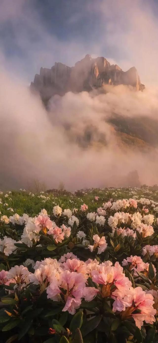 风景壁纸:绝美风景,美丽风光,景色优美