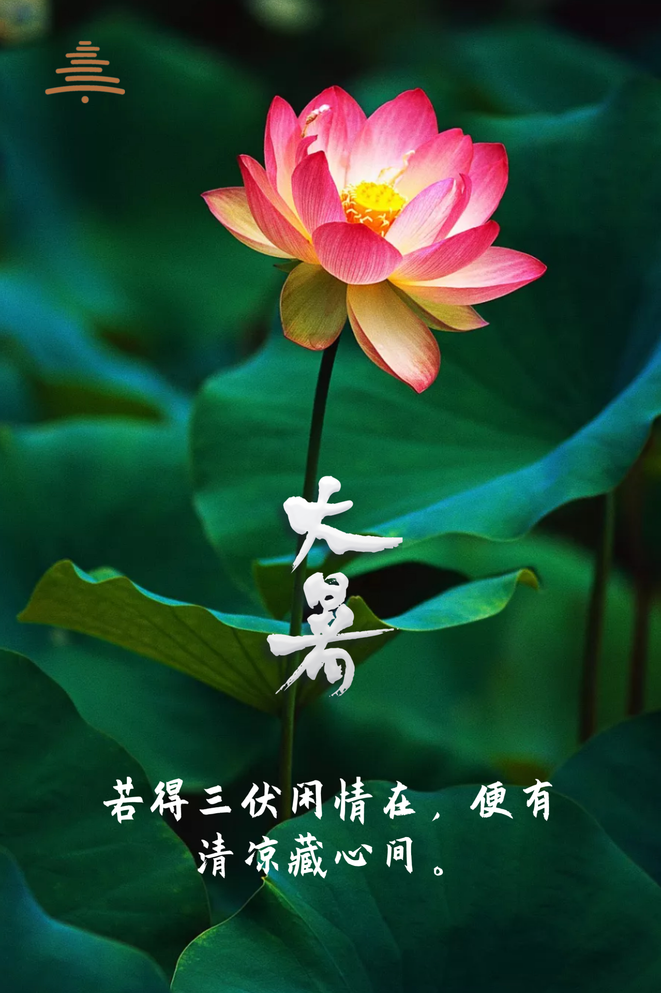 大暑到了,唐昭陵墓园为您送上清凉祝福!