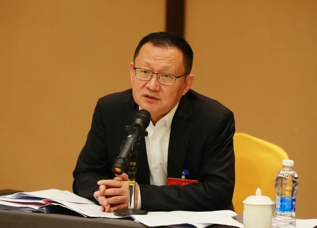 聚焦两会丨马飞参加人大分组审议