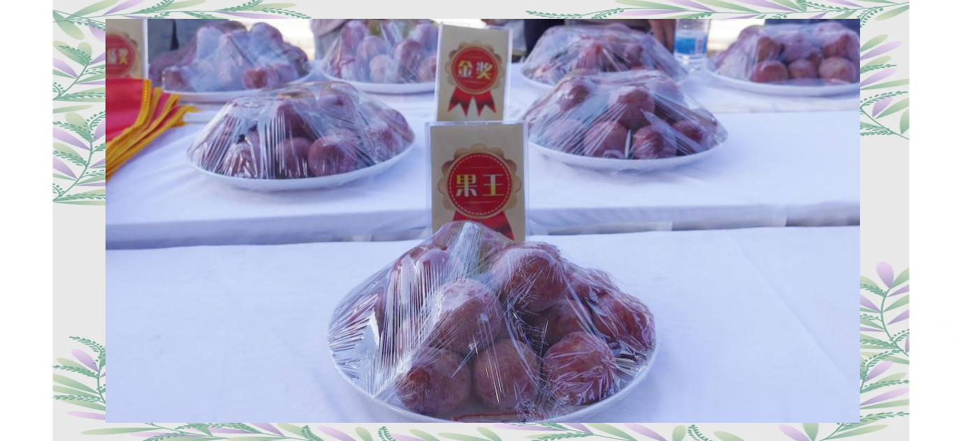 揭秘武平芙蓉李:如何从默默无闻到变身"金果果"?