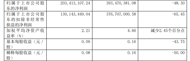 迪马股份:上半年归母净利2.03亿元 同比降48.3|半年报风云