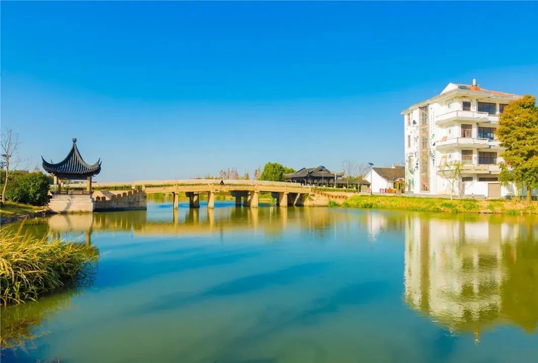 平湖市新仓镇生态满意度荣获全市第一,美丽城镇环境美换发新颜