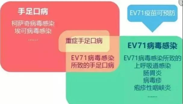 ev71疫苗是预防什么的图片