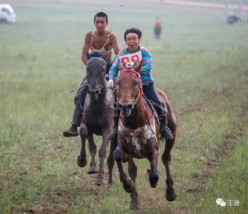 纪念我的牧民朋友格日勒图