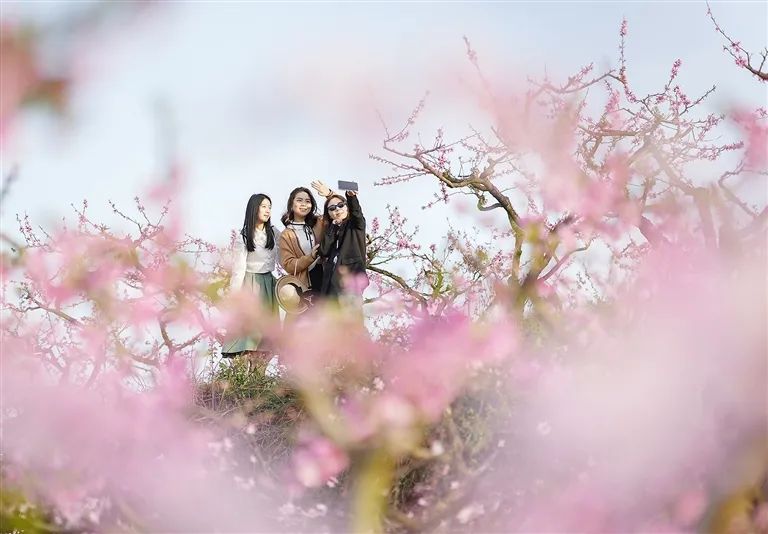 也深刻感受到了遂宁非遗的文化底蕴……射洪市大榆镇芦溪开心谷桃花