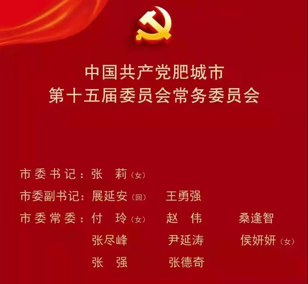 张莉当选肥城市委书记