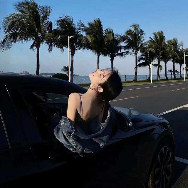 自由风头像分享,太爱了