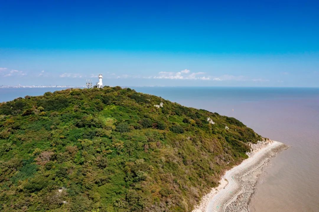 "大金山岛自然探秘" 海洋科普一日营活动圆满结束,一起看看有哪些精彩