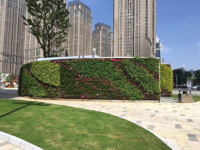 城市植物墙,为昆明再添一点绿
