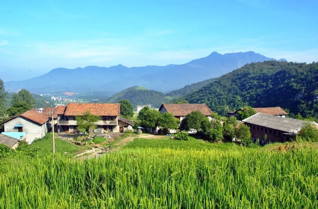 诗词中的农家,光景美如画,惬意生活在乡村