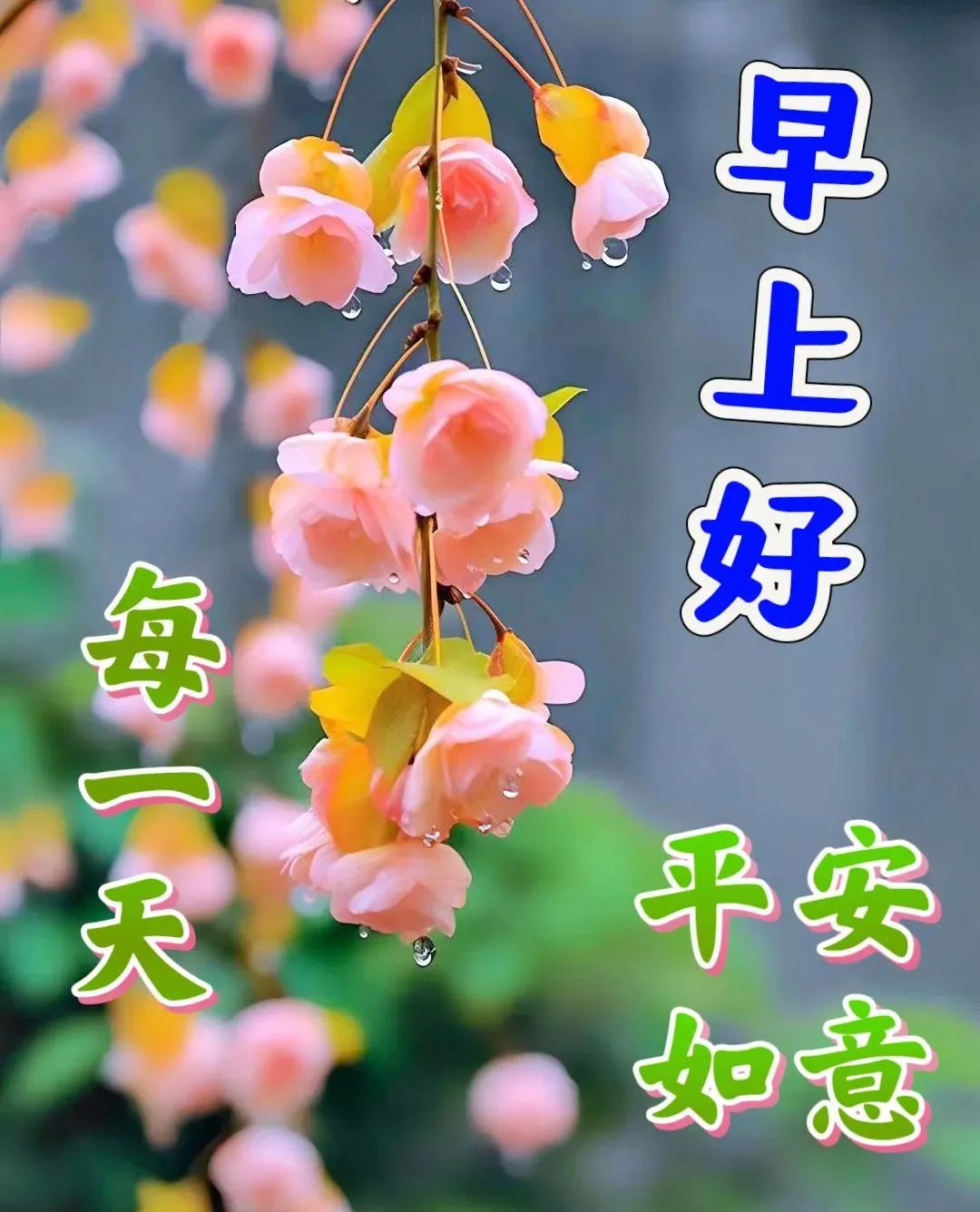 多款夏季天热早安图片带字精选,早晨好问候语图片