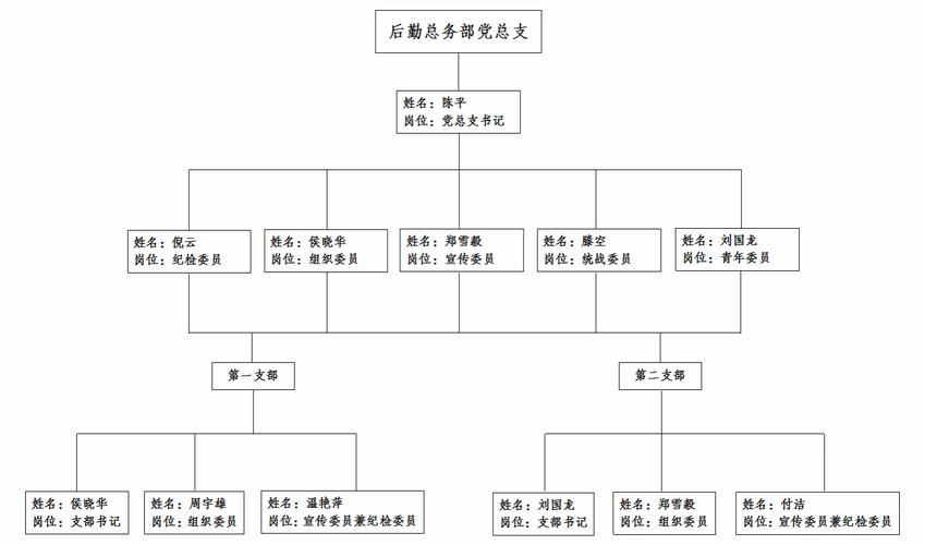 机关党组织结构与职责解析:从委员会到支部的设置