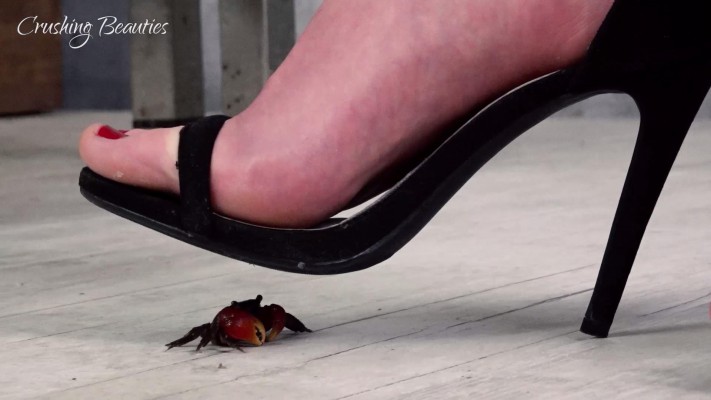 美女性感高跟凉鞋踩扁小螃蟹