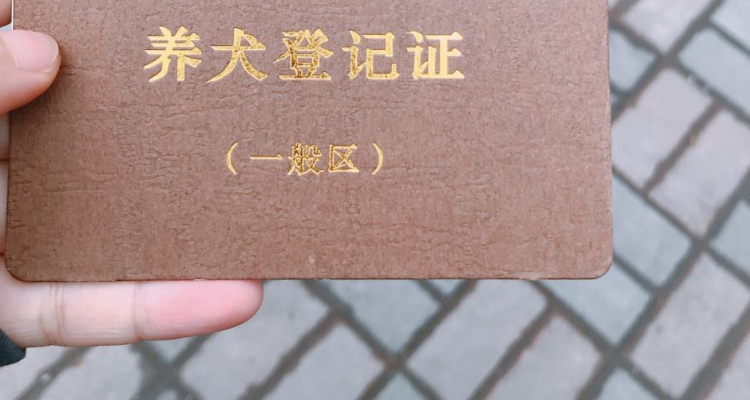 天津办狗证在什么地方办理