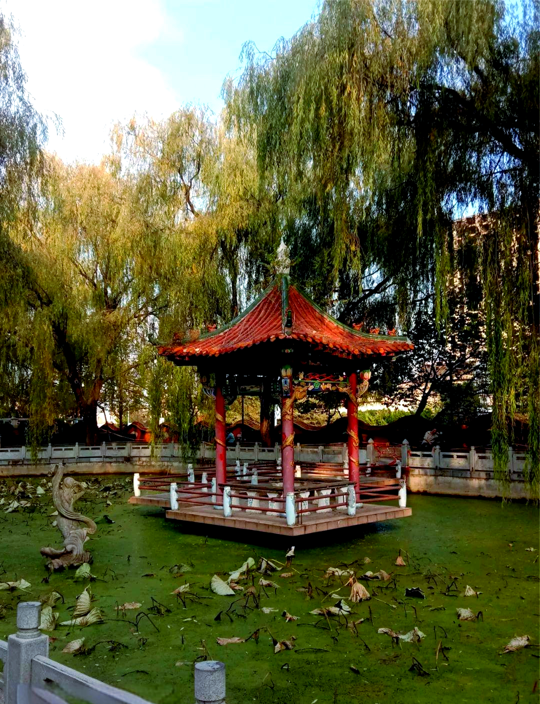 大连普兰店南山公园秋日风光概览