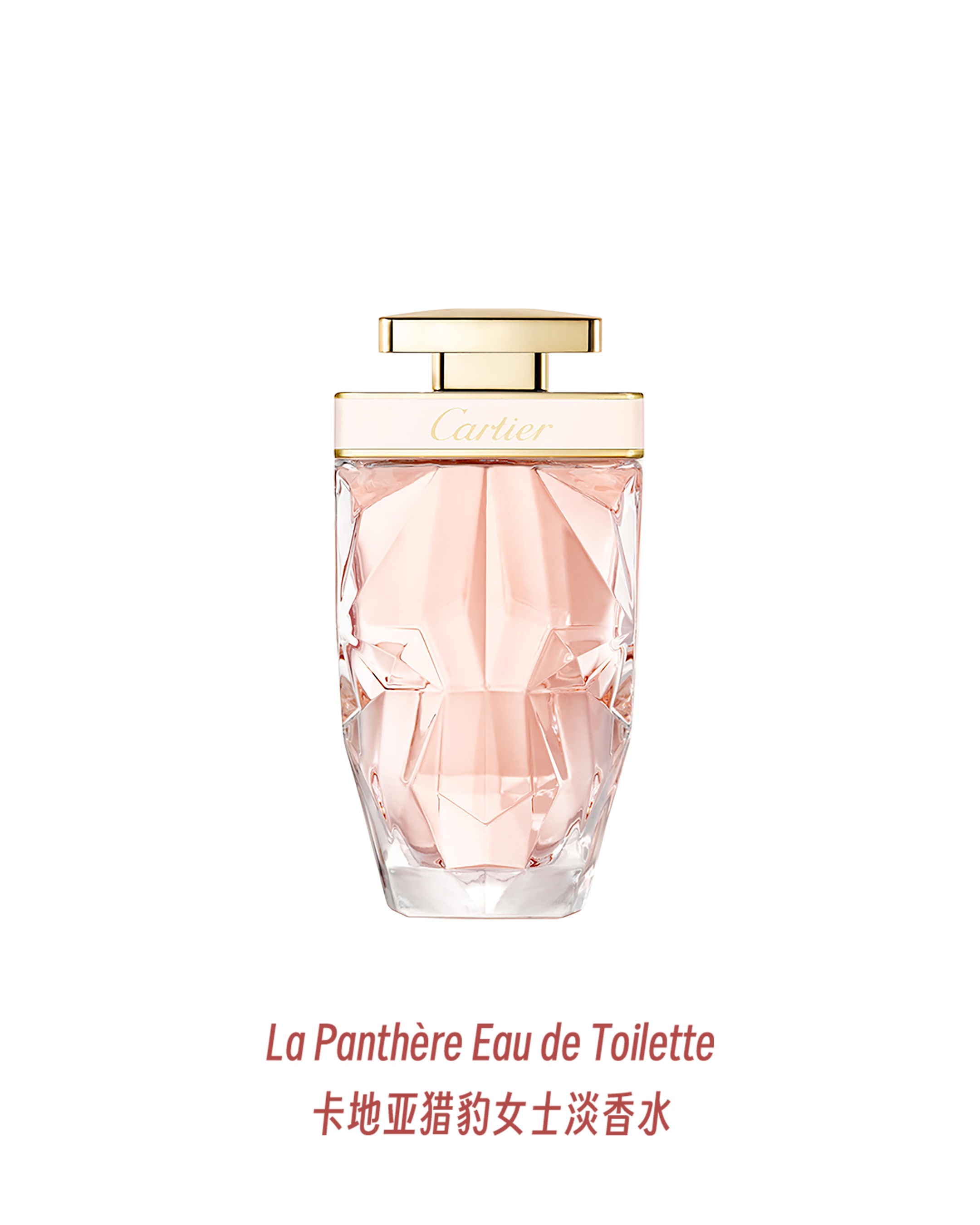 野性与优雅,卡地亚携手凡妮莎·柯比诠释卡地亚猎豹女士香水