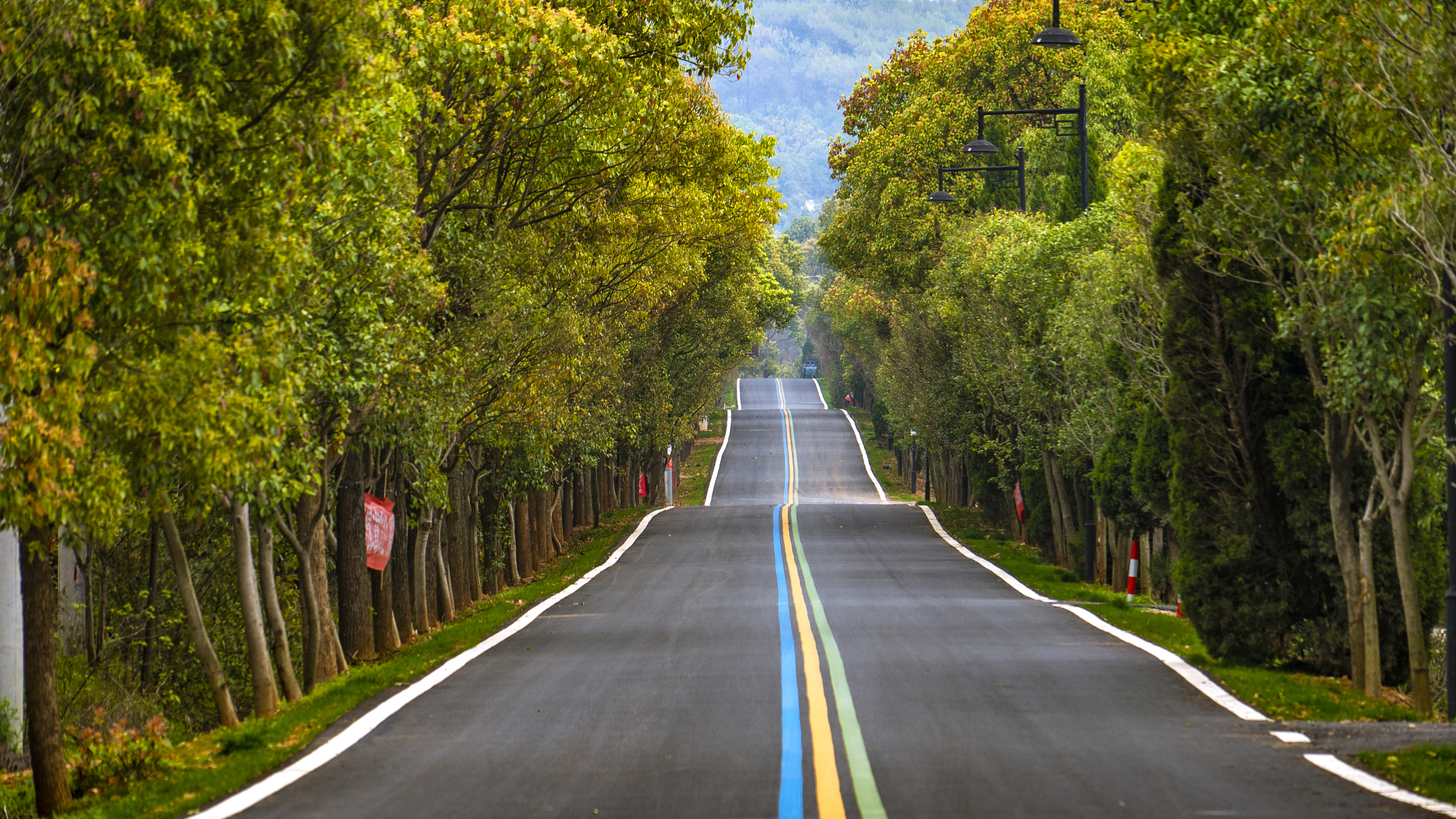 既美丽富民又安全畅通,江苏着力推动"四好农村路"高质量发展