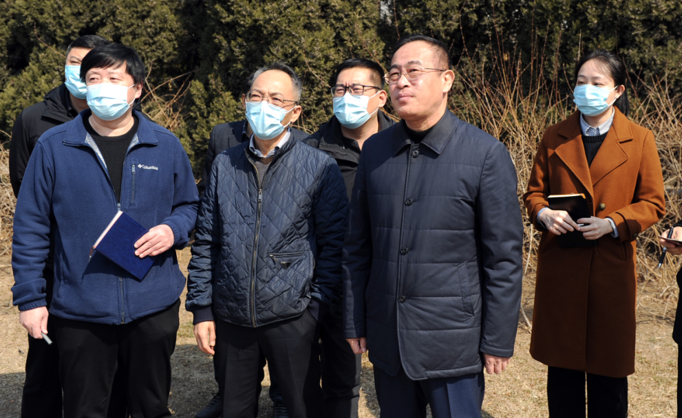 骆东升调研市容市貌综合整治提升工作