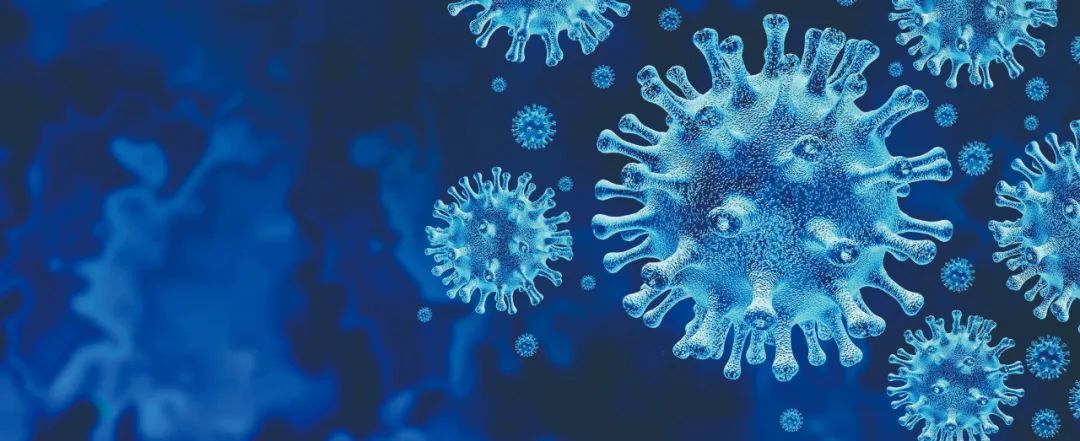 能否估算出世界上covid-19病毒的总重量?