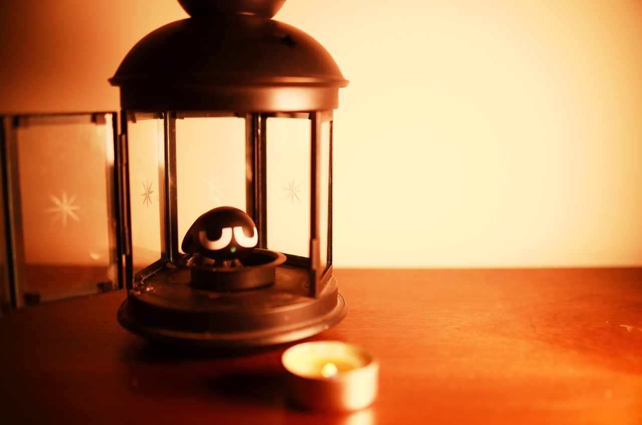 1.38亿控股"罗小黑",中文在线吞下孙宏斌大公子"果实"?