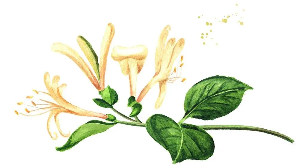 有毒,以后看见了,离它远一点!香山食安