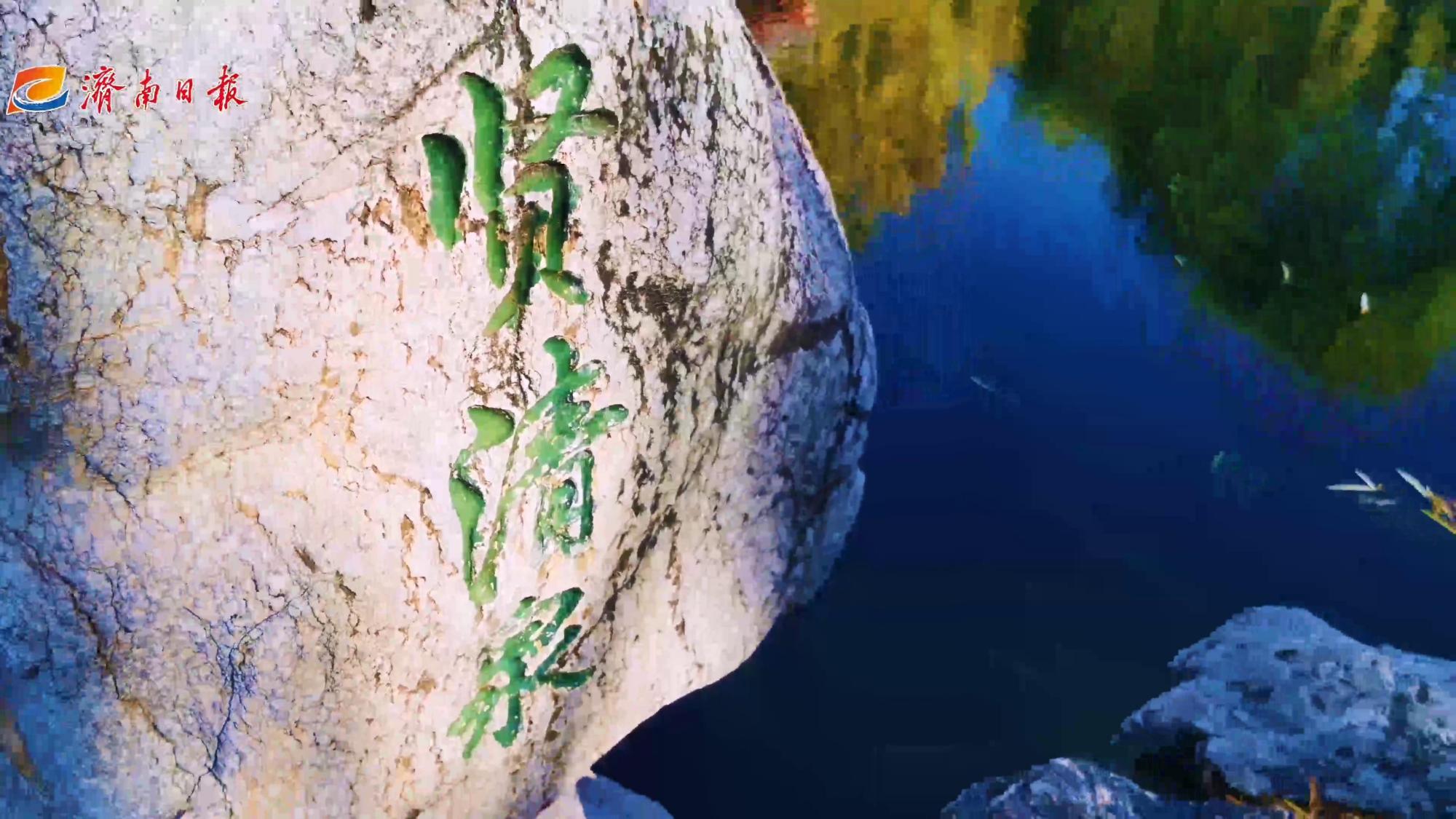碧水沉静,有圣贤隐居山野之风——赏济南新七十二名泉之贤清泉