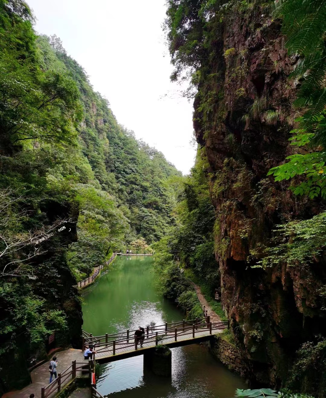 今天我要带大家,领略一下浙江奉化雪窦山的秀美风光