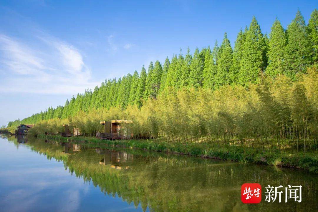 东台黄海森林公园获评全国首家零碳旅游景区