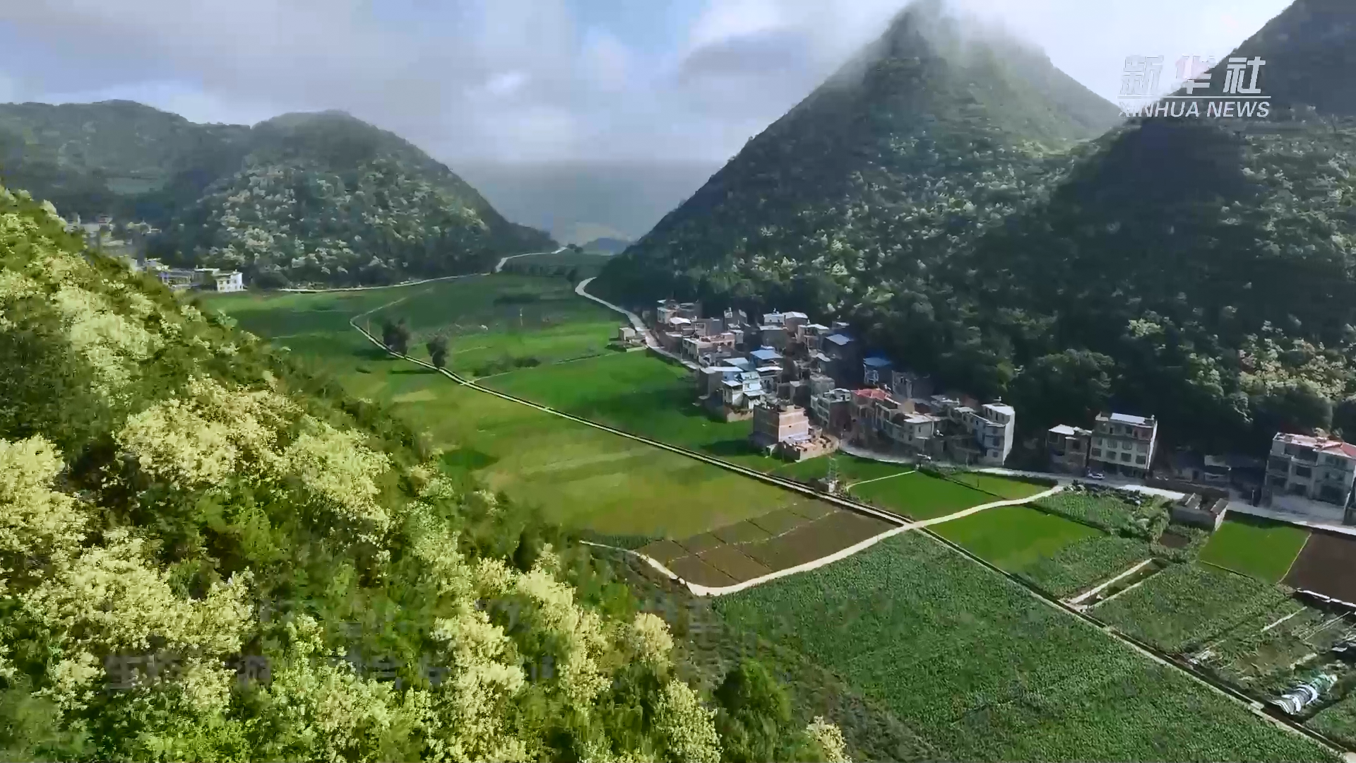 云南西畴:石漠荒山尽染绿