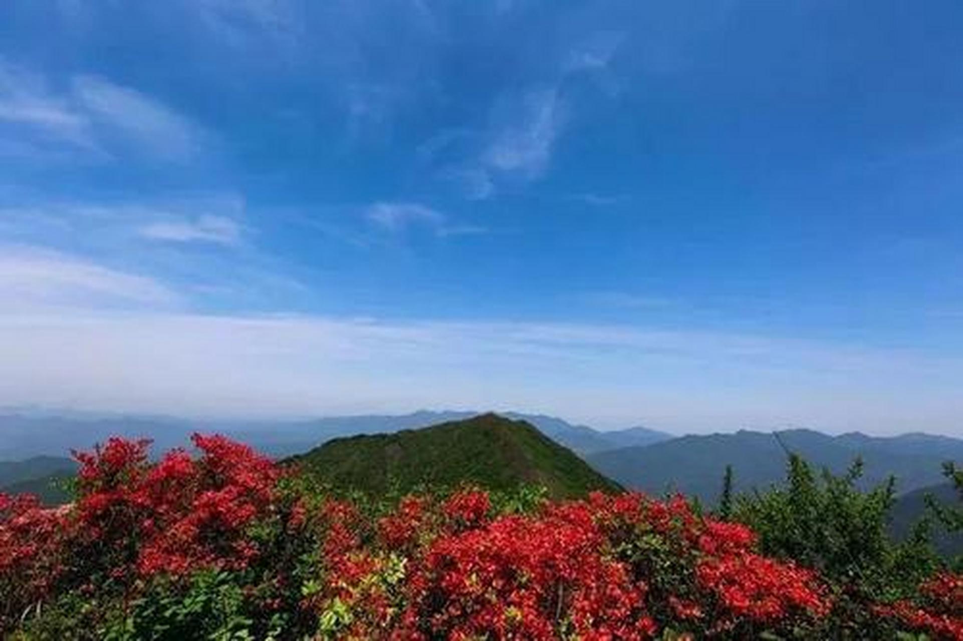 名词解释  【反关脉】    一种生理特异的脉位.