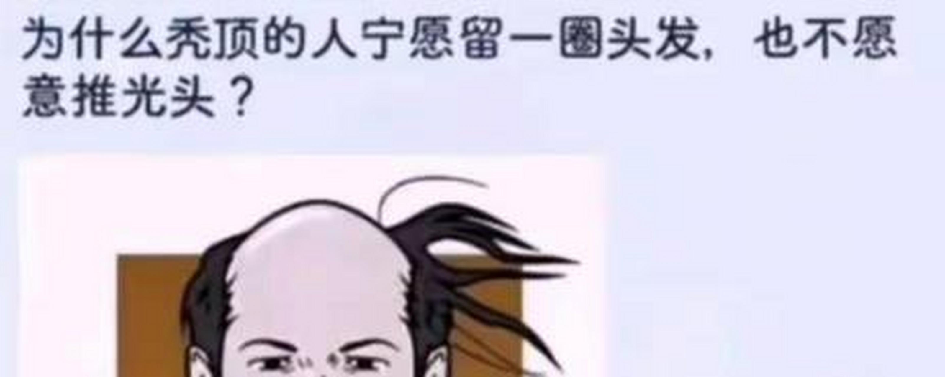 我和我最后的倔强