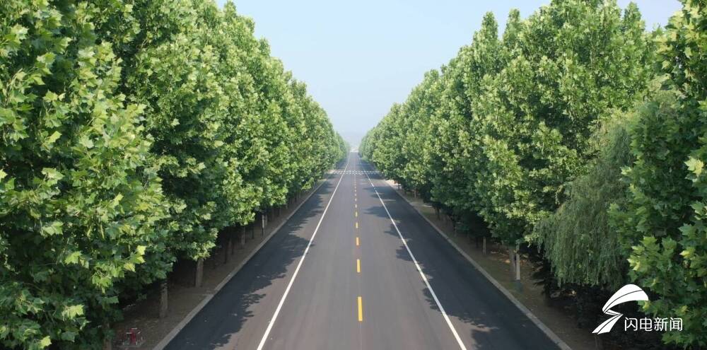 g342日凤线沂水段路面改造中修工程主体顺利完工