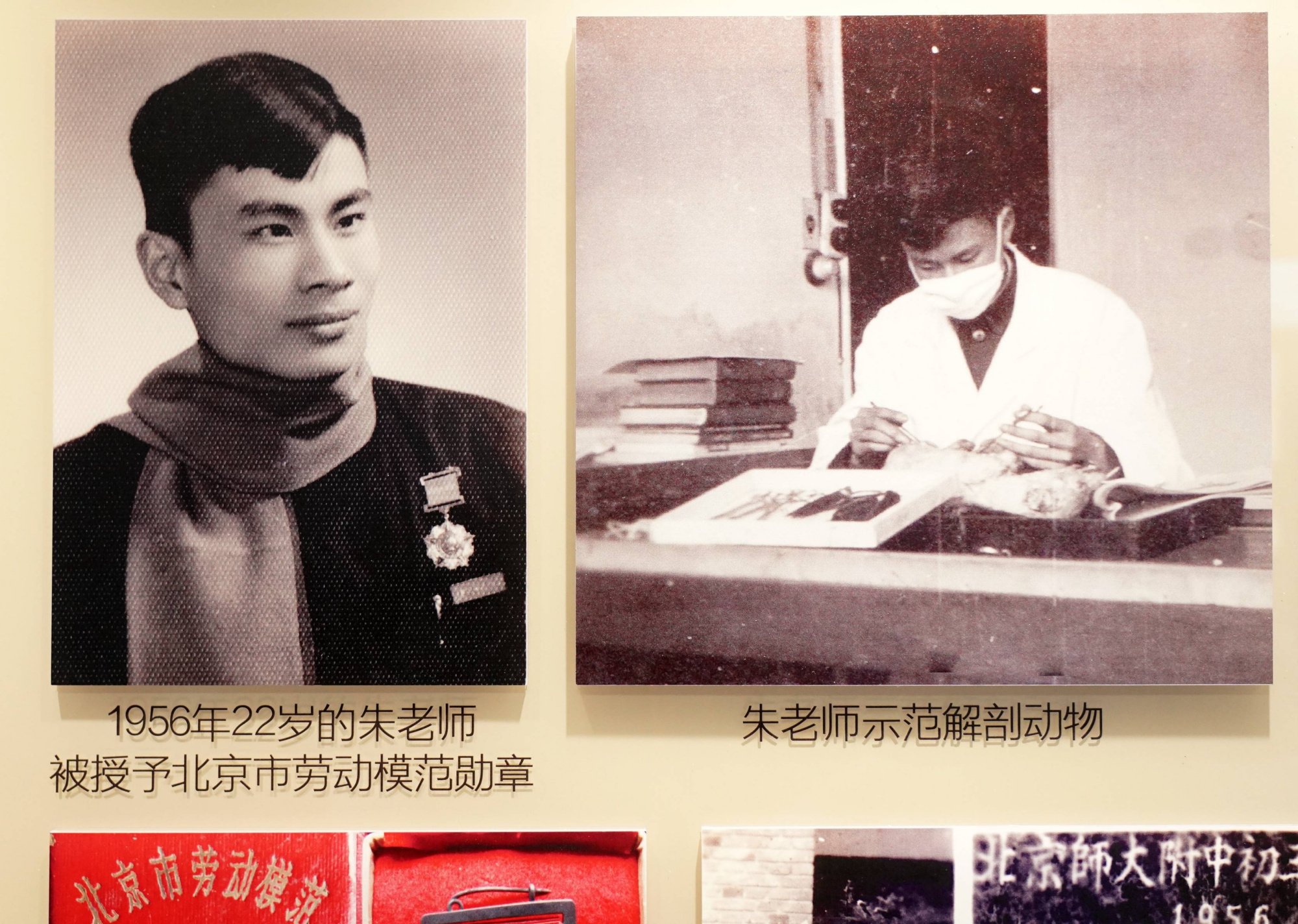 北京师范大学附属中学成立朱正威教育研究室