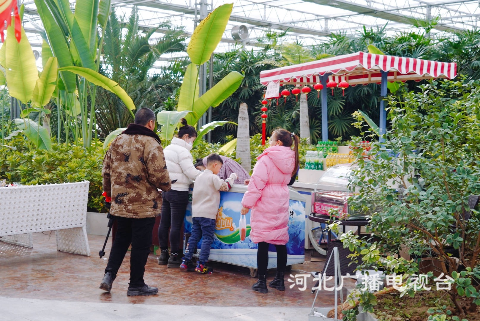 新春走基层|南和农业嘉年华:迎春纳福过大年