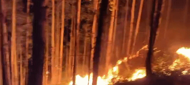 珠海直升机紧急出动!附现场图片