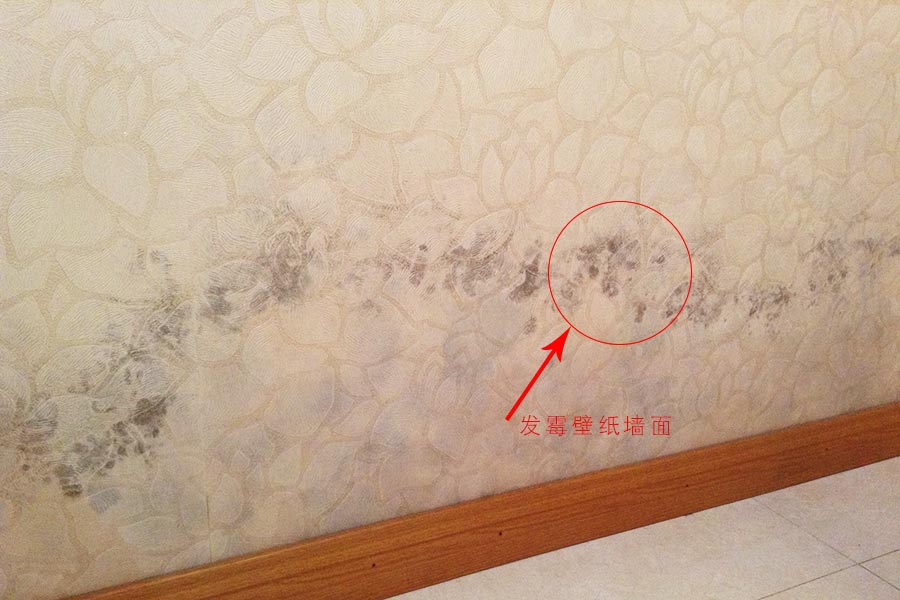 墙布做了防水防潮依旧发霉?做好这些预防措施 霉变再也不见