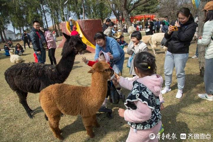 濟南跑馬嶺景區全面升級開啟沉浸式旅遊新模式